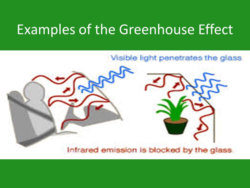 Examples of the Greenhouse Effect