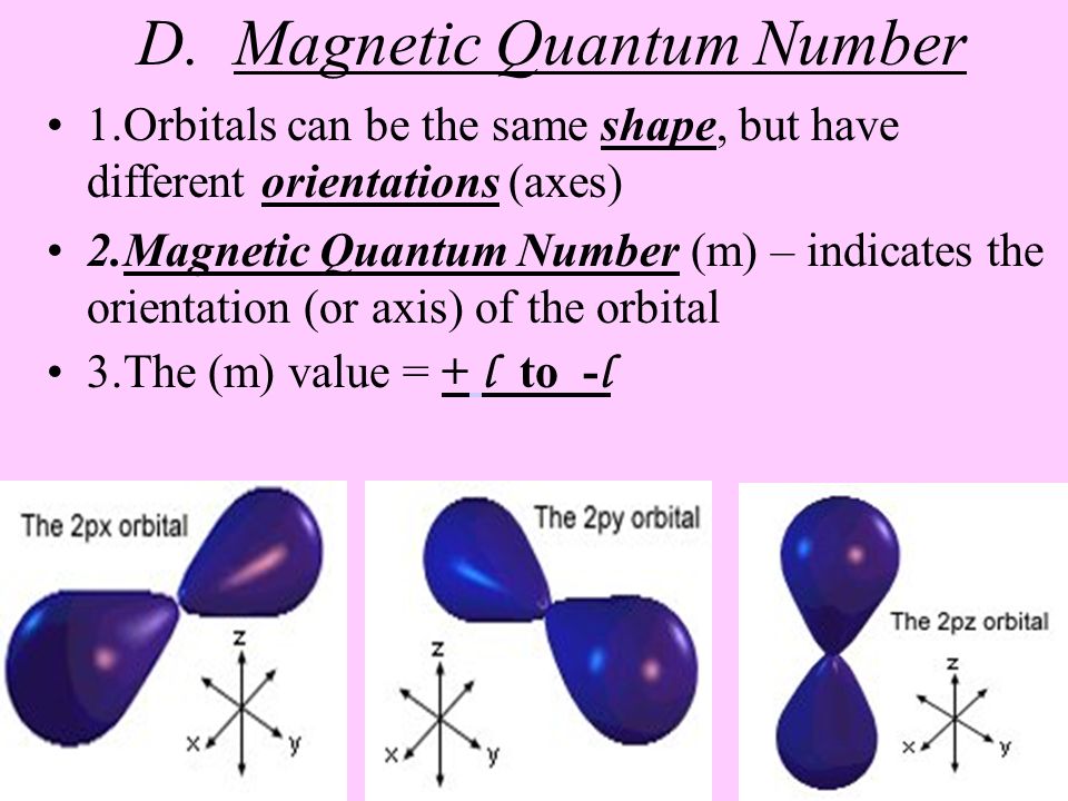 D. Magnetic Quantum Number