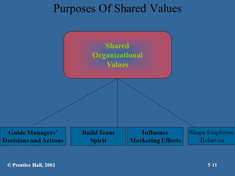 Purposes Of Shared Values