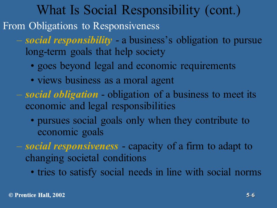 What Is Social Responsibility (cont.)