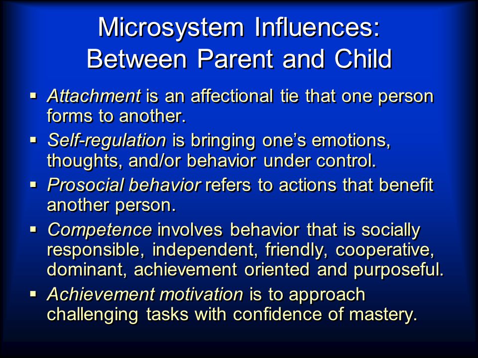 Microsystem Influences: Between Parent and Child