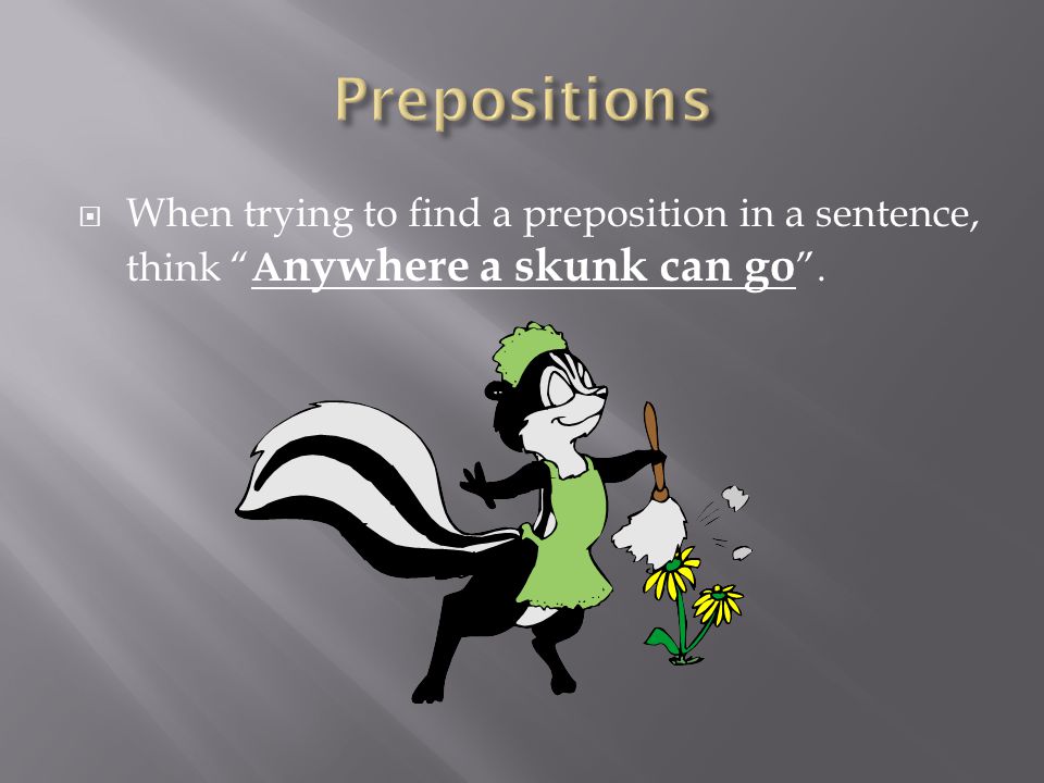Prepositions When trying to find a preposition in a sentence, think Anywhere a skunk can go .