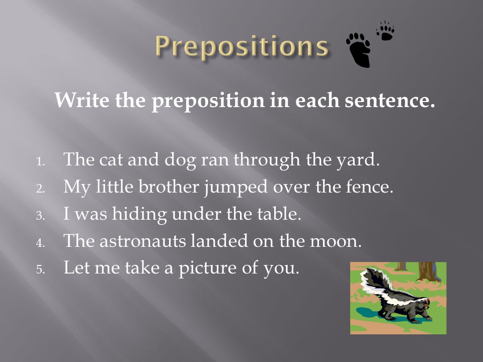 Write the preposition in each sentence.