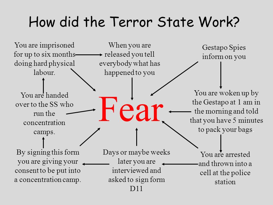 How did the Terror State Work