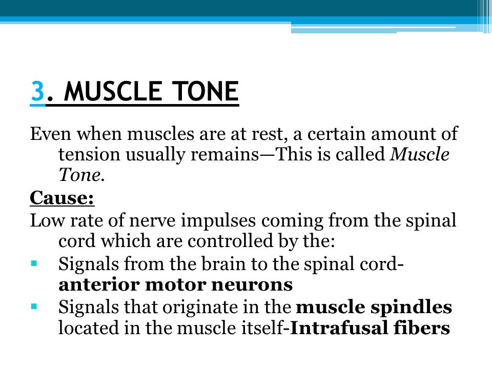 Skeletal Muscle Mechanics-3 - ppt video online download