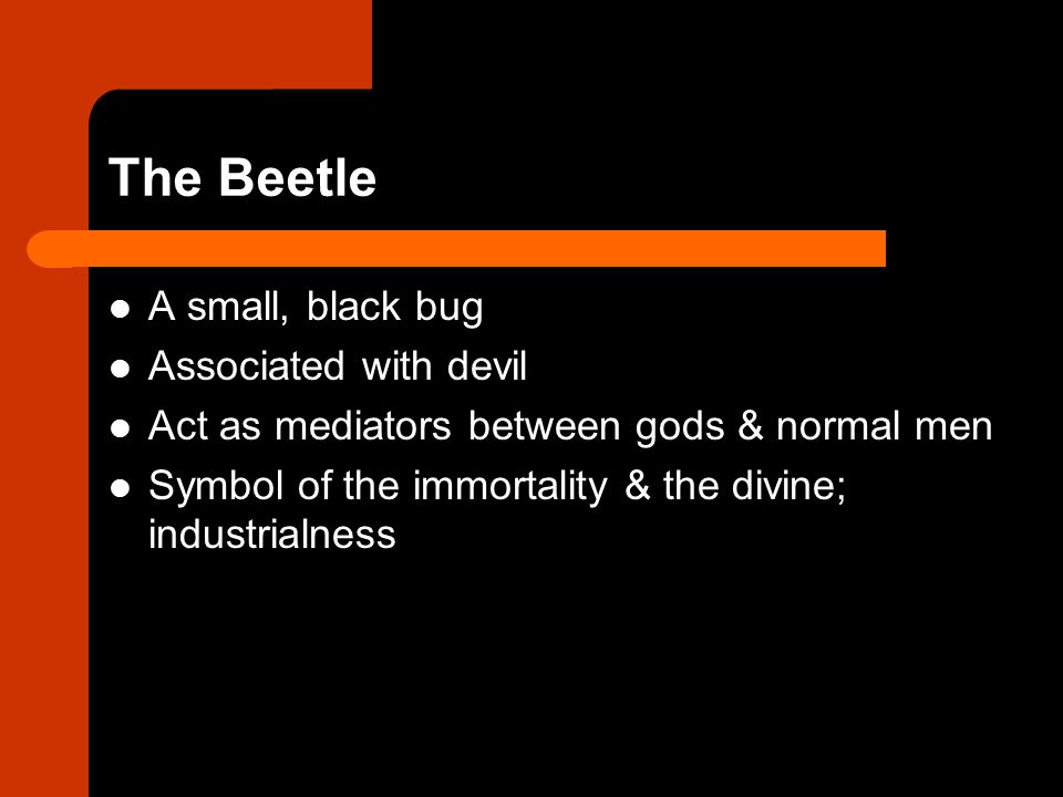 The Beetle A small, black bug Associated with devil