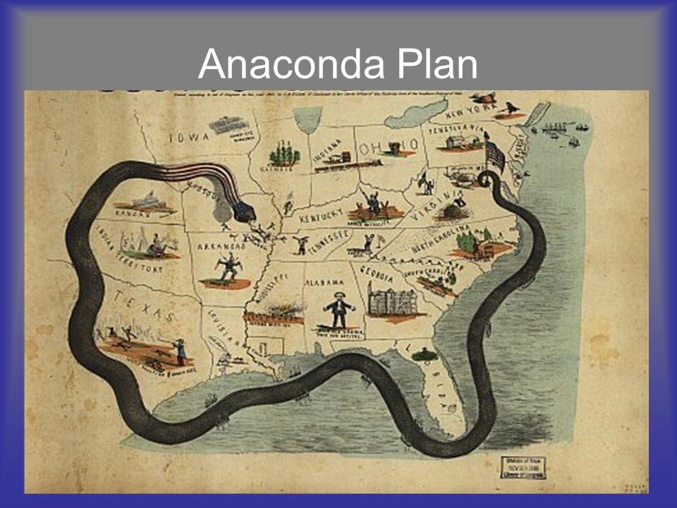 Anaconda Plan