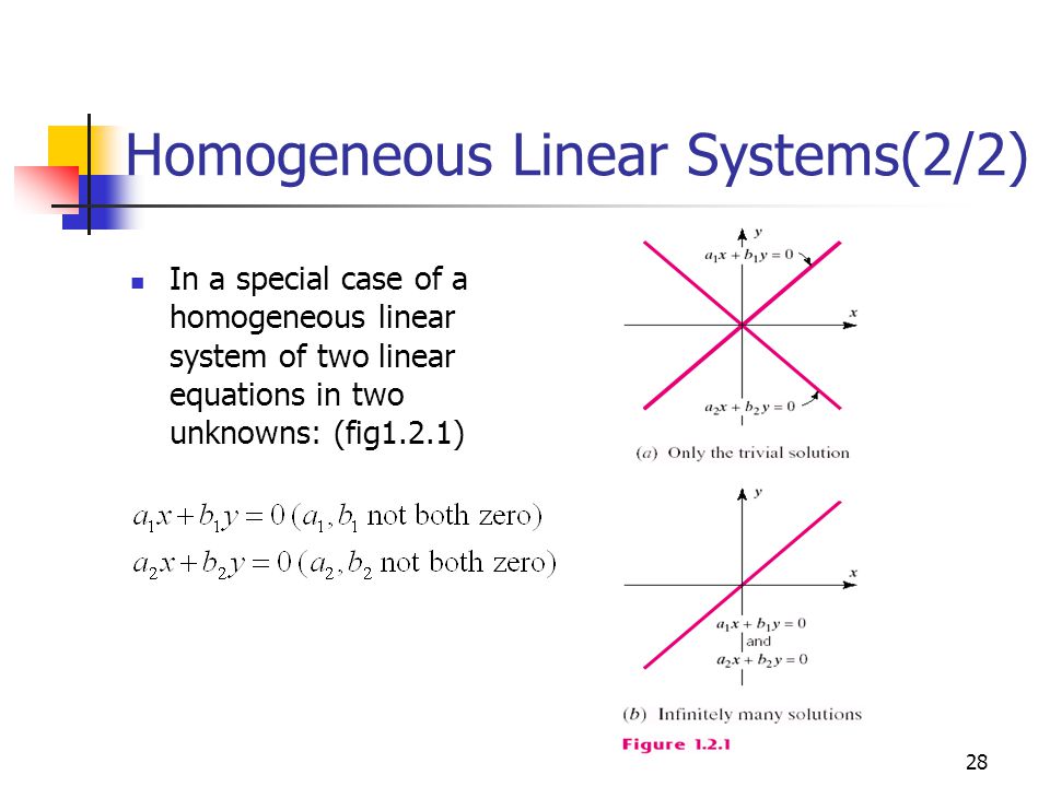 Homogeneous Linear Systems(2/2)