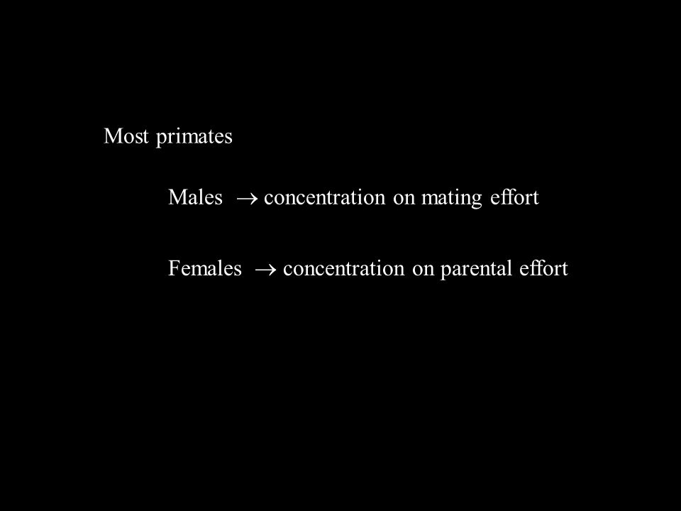 Most primates Males  concentration on mating effort Females  concentration on parental effort