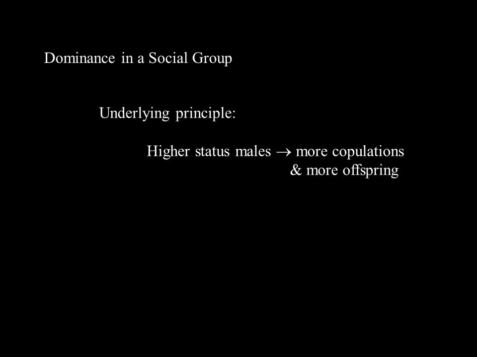 Dominance in a Social Group