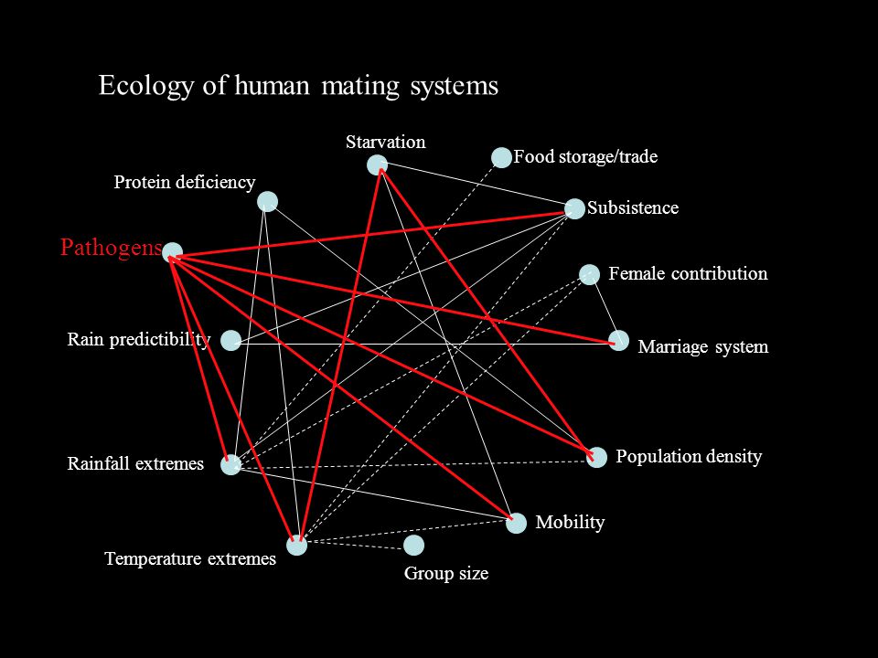 Ecology of human mating systems