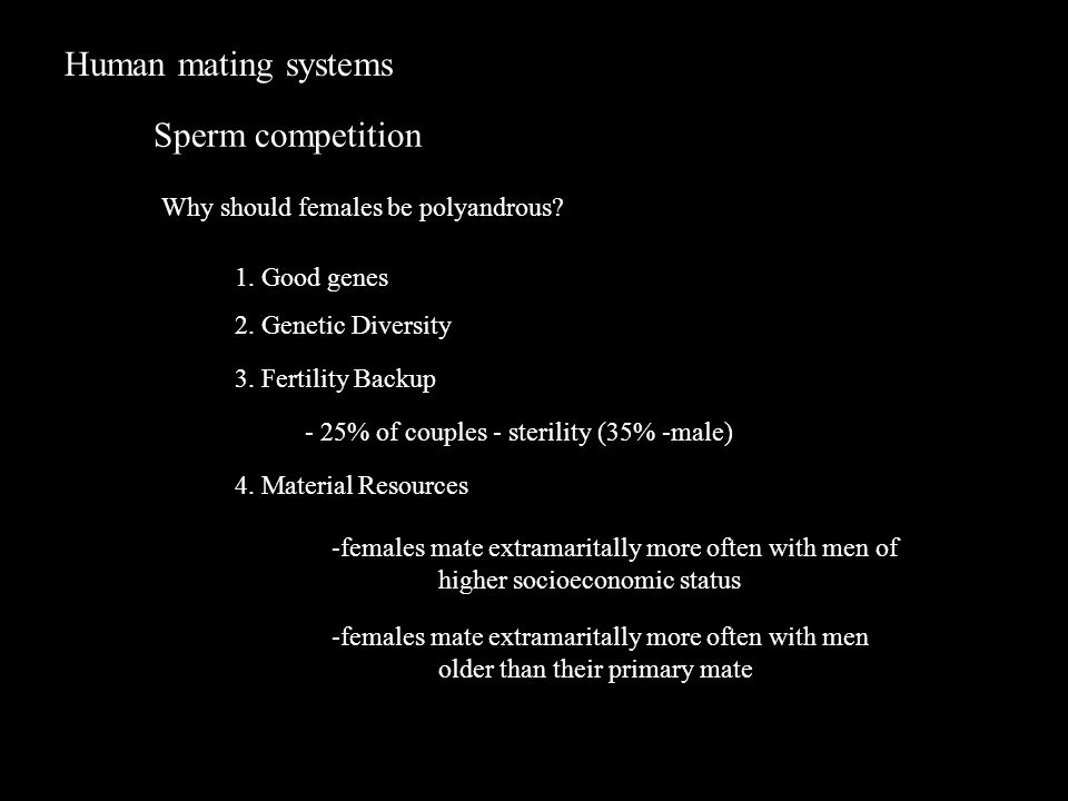 Human mating systems Sperm competition