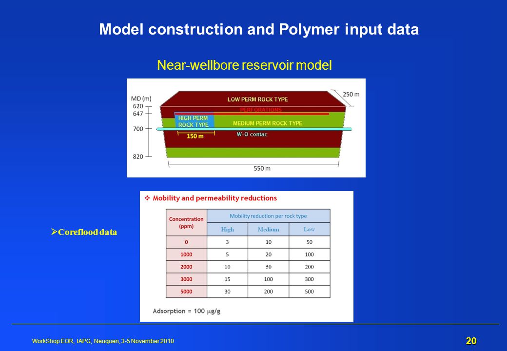 Model construction and Polymer input data