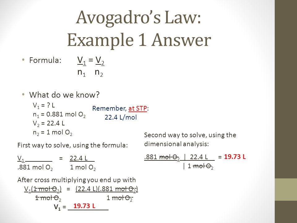 Avogadro Avogadro