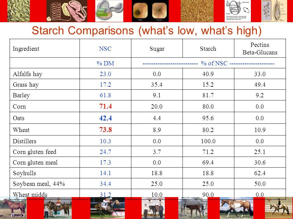 Starch Comparisons (what’s low, what’s high)