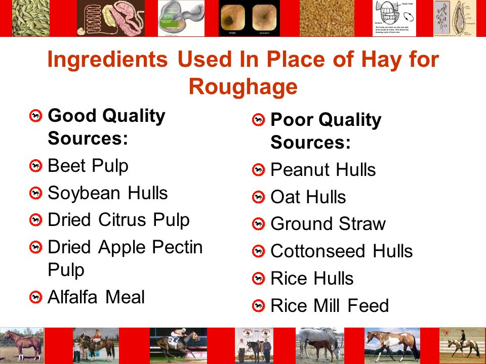 Ingredients Used In Place of Hay for Roughage