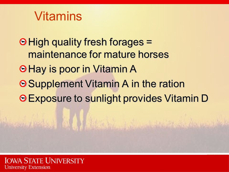 Vitamins High quality fresh forages = maintenance for mature horses