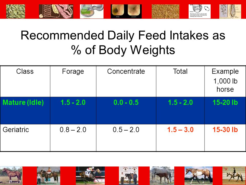 Recommended Daily Feed Intakes as % of Body Weights