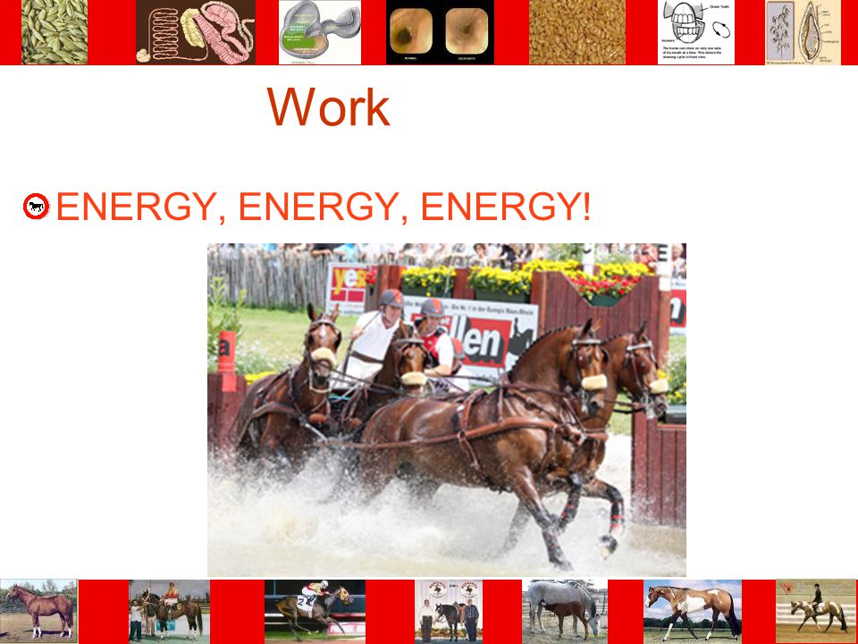Work ENERGY, ENERGY, ENERGY!
