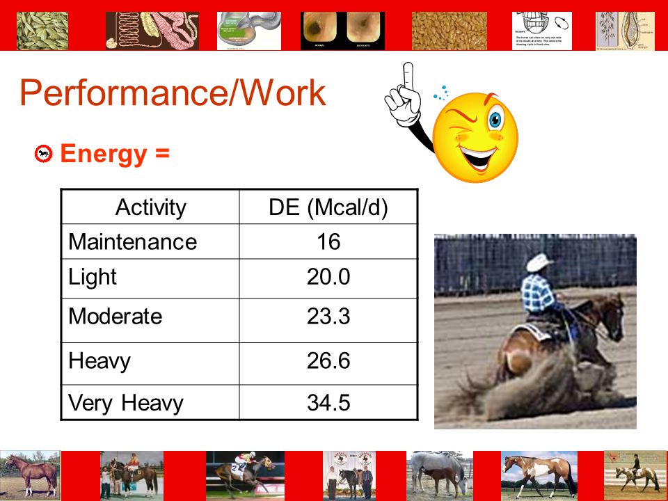 Performance/Work Energy = Activity DE (Mcal/d) Maintenance 16 Light