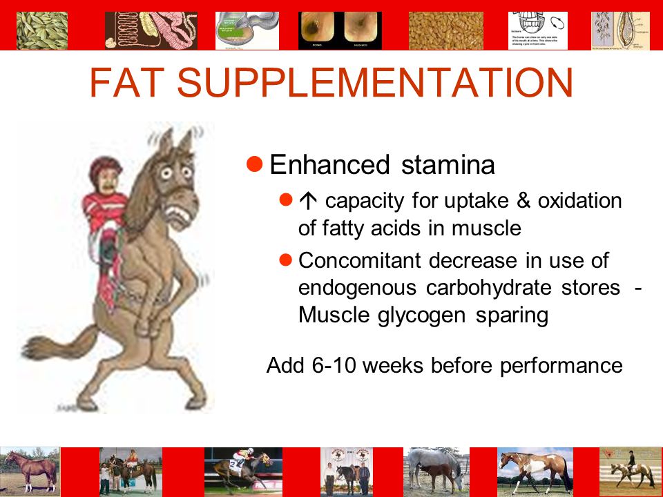FAT SUPPLEMENTATION Enhanced stamina