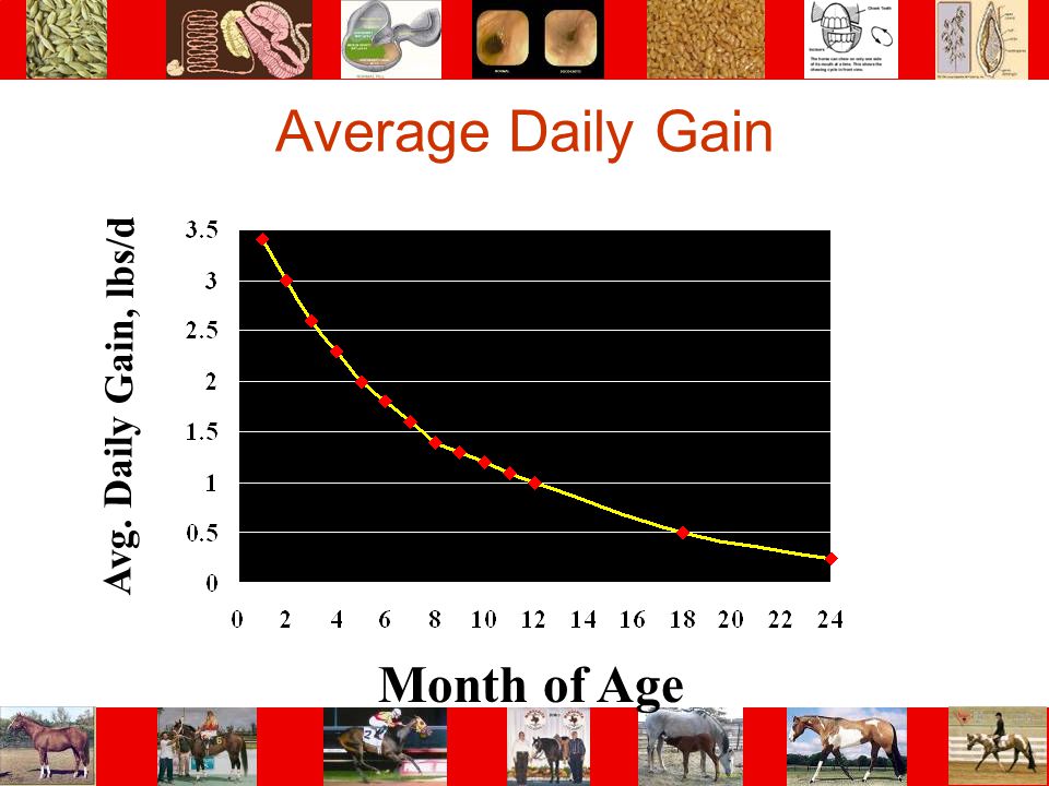 Average Daily Gain Avg. Daily Gain, lbs/d Month of Age