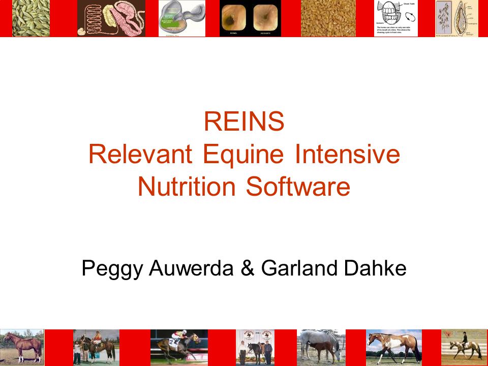 REINS Relevant Equine Intensive Nutrition Software