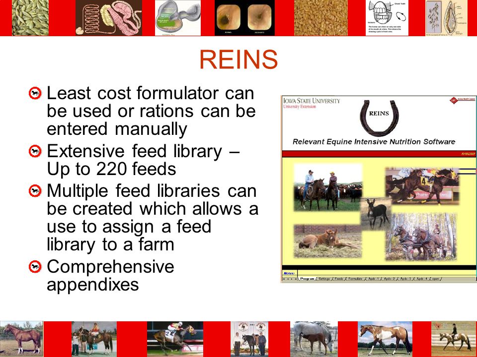 REINS Least cost formulator can be used or rations can be entered manually. Extensive feed library – Up to 220 feeds.