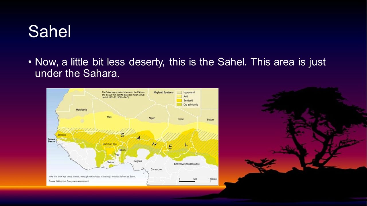 Sahel Now, a little bit less deserty, this is the Sahel. This area is just under the Sahara.
