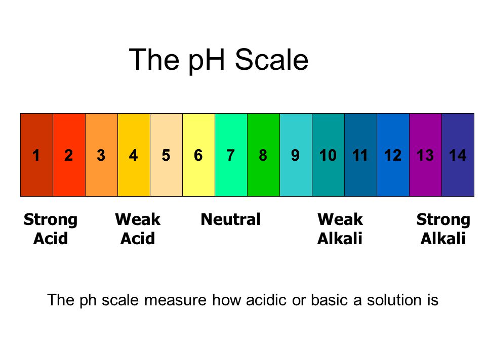 The ph scale measure how acidic or basic a solution is