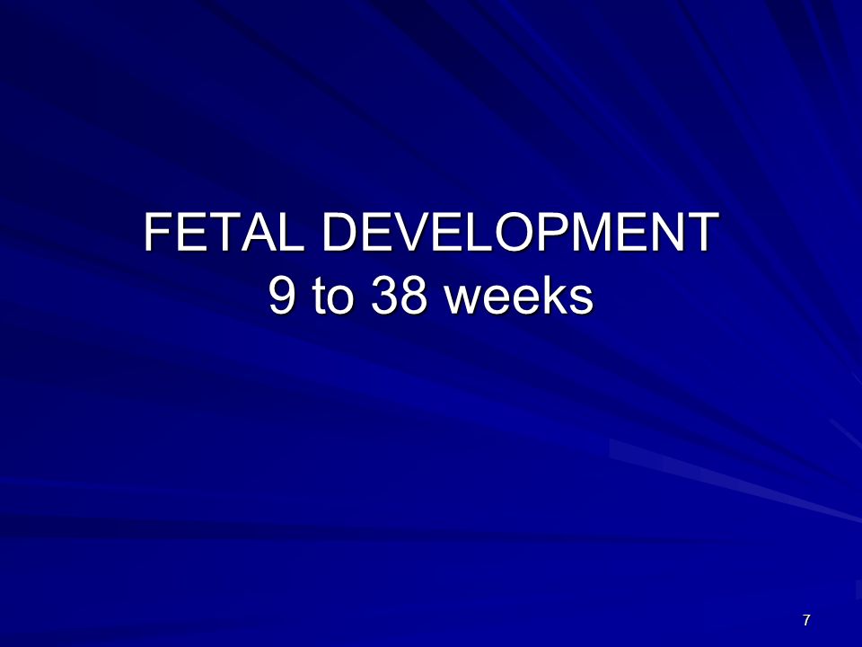 FETAL DEVELOPMENT 9 to 38 weeks