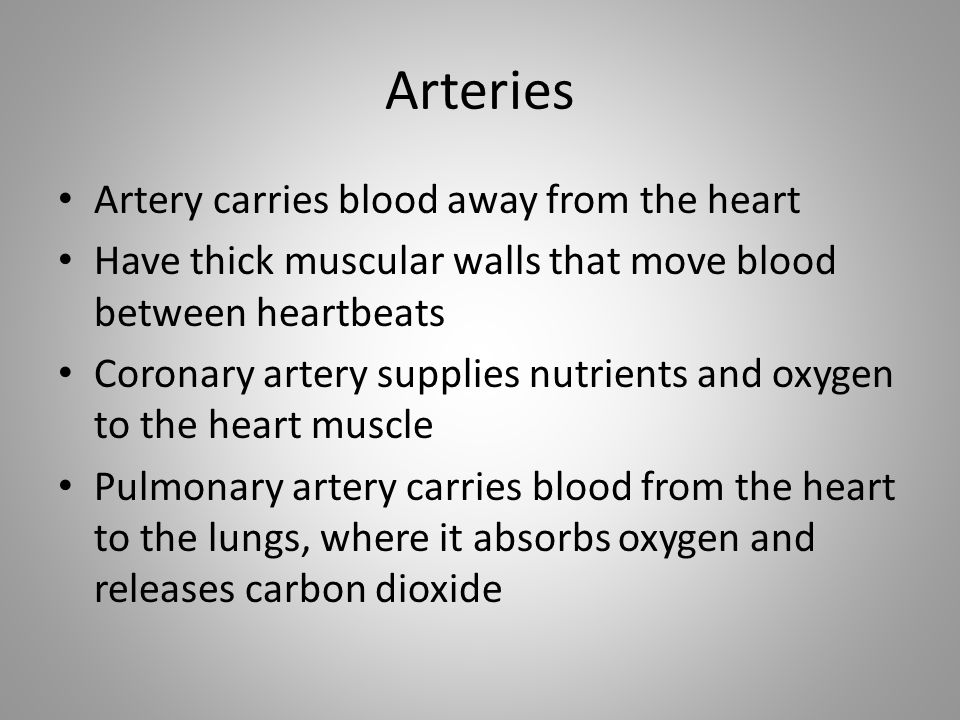 Arteries Artery carries blood away from the heart