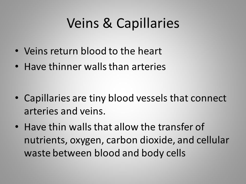 Veins & Capillaries Veins return blood to the heart