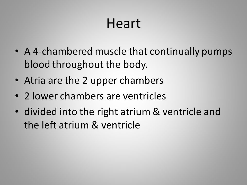 Heart A 4-chambered muscle that continually pumps blood throughout the body. Atria are the 2 upper chambers.