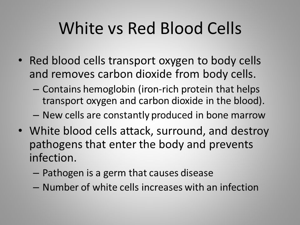 White vs Red Blood Cells