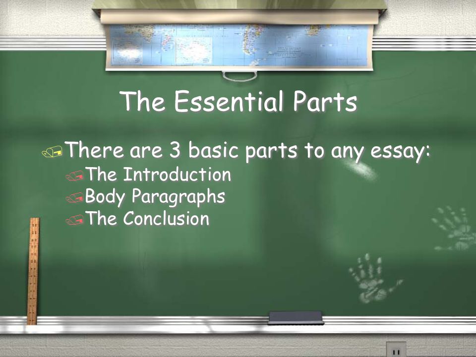 The Essential Parts There are 3 basic parts to any essay: