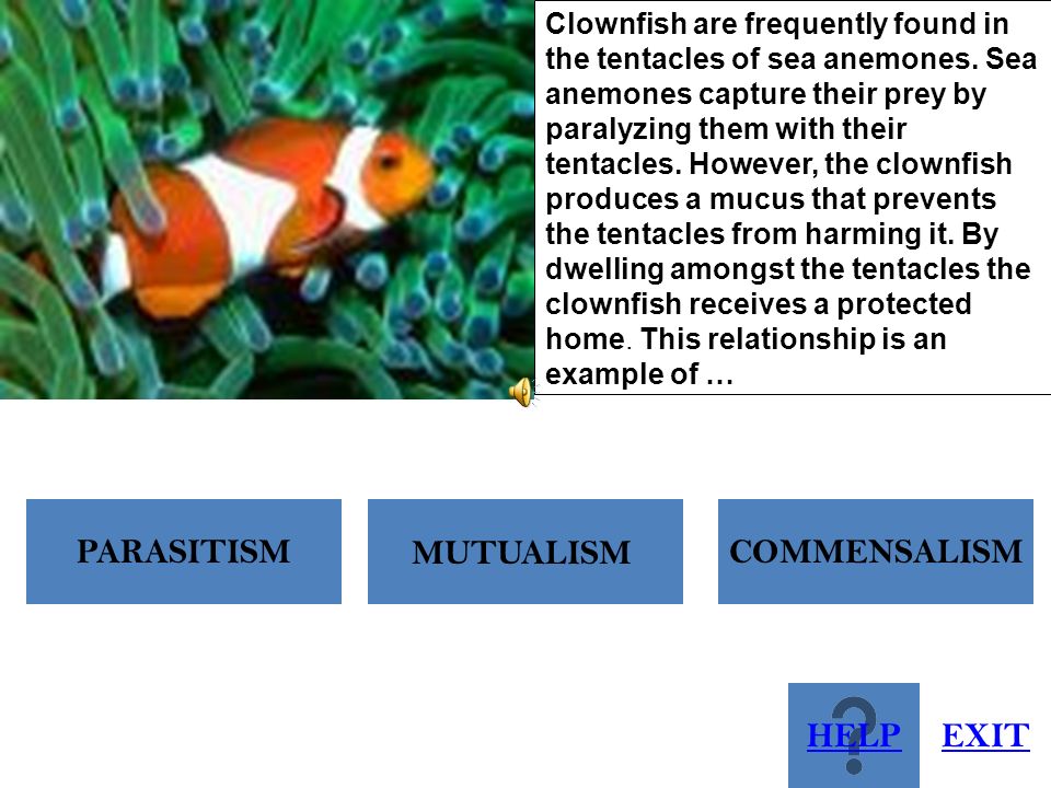 Interactions Among Organisms Ppt Download