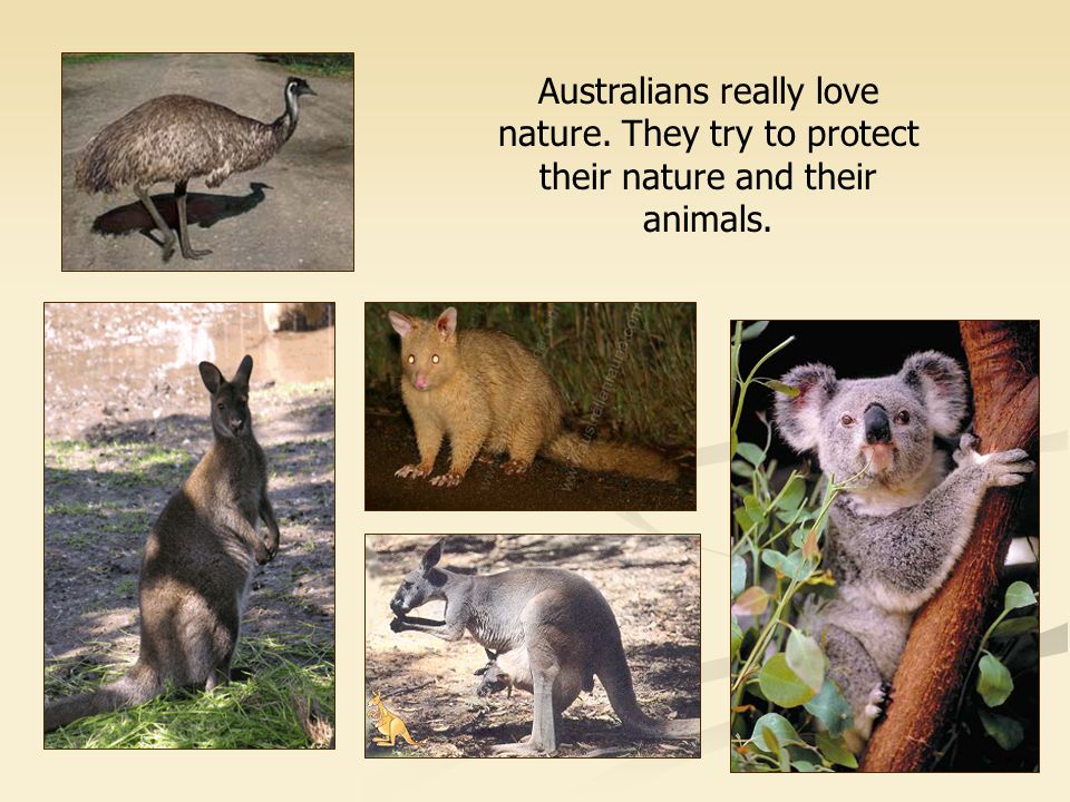 Australians really love nature