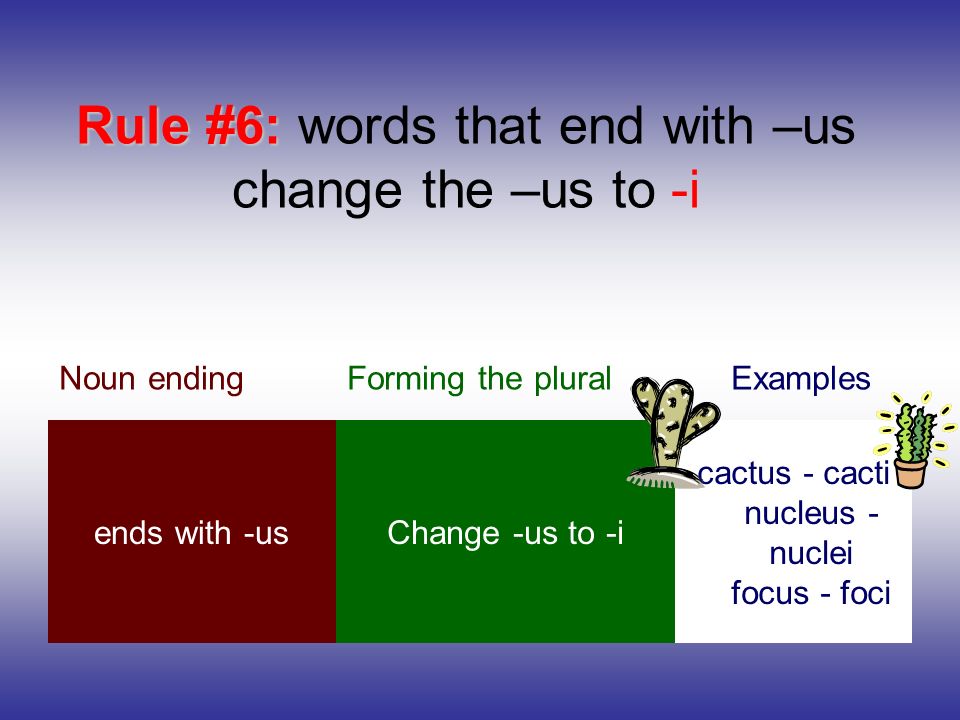 Rule #6: words that end with –us change the –us to -i