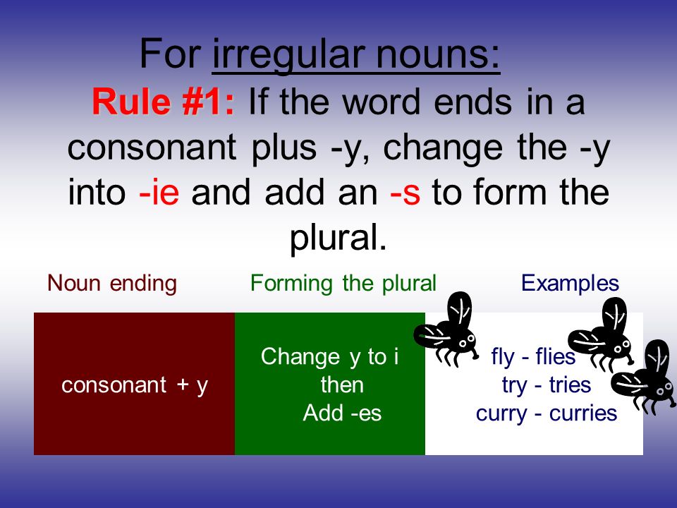 Rule #1: If the word ends in a consonant plus -y, change the -y into -ie and add an -s to form the plural.