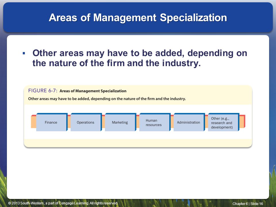 Areas of Management Specialization