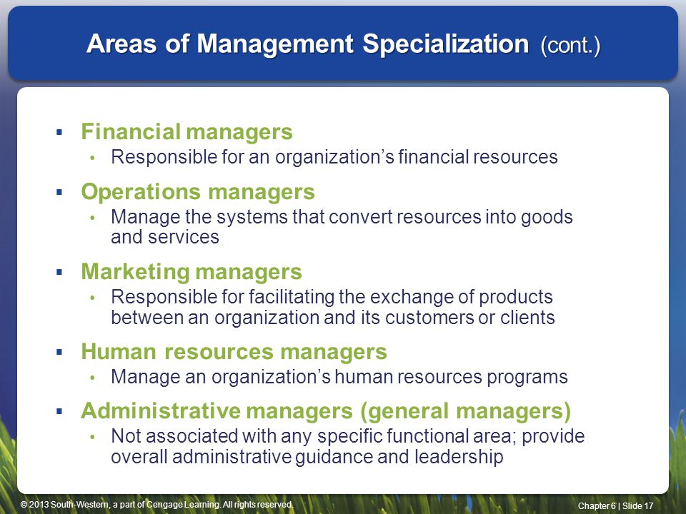 Areas of Management Specialization (cont.)