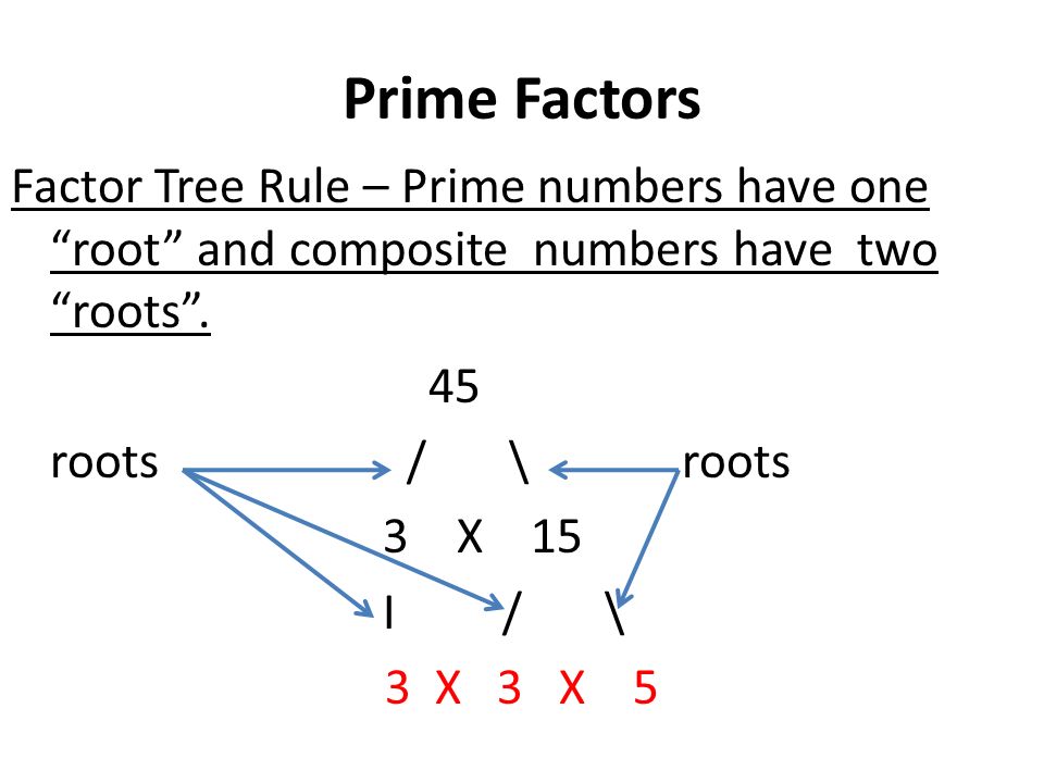 Prime Factors Factor Tree Rule – Prime numbers have one root and composite numbers have two roots .