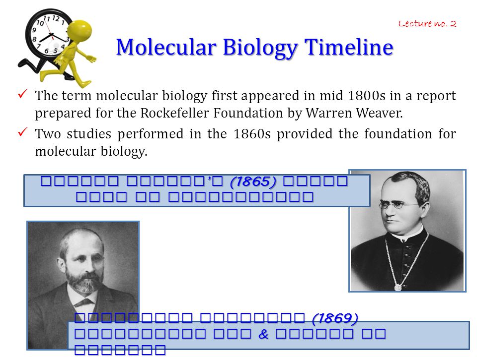 Molecular Biology Timeline