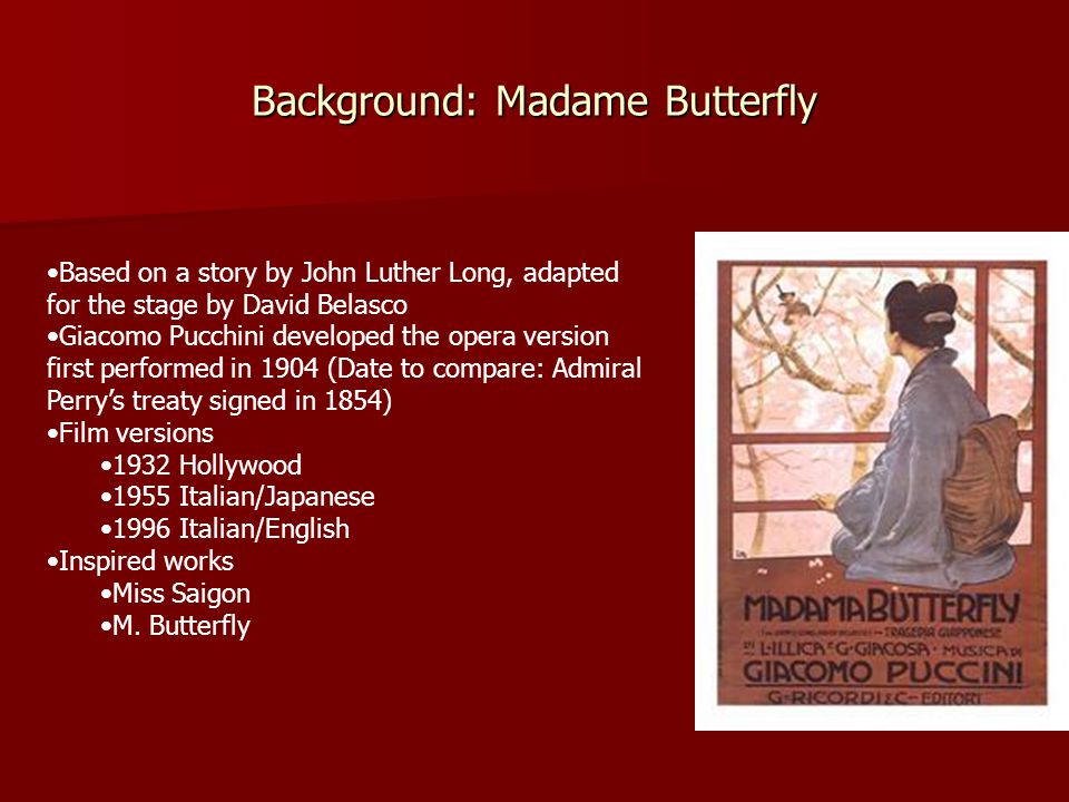 m butterfly discussion questions
