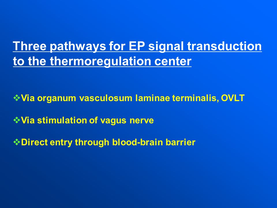 Three pathways for EP signal transduction to the thermoregulation center