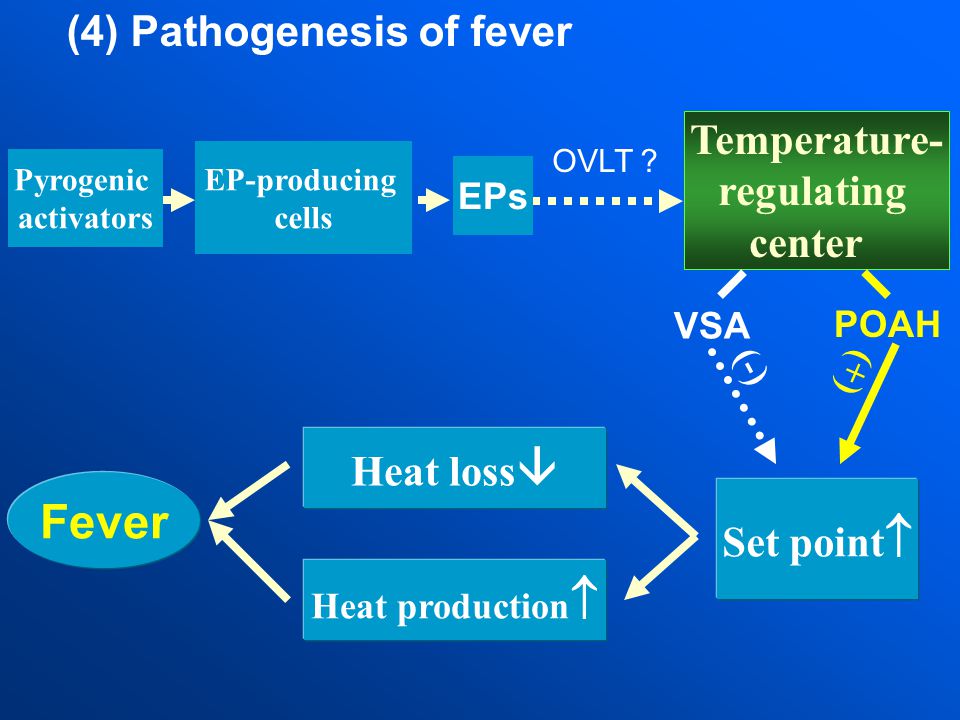 Fever (4) Pathogenesis of fever Temperature- regulating center