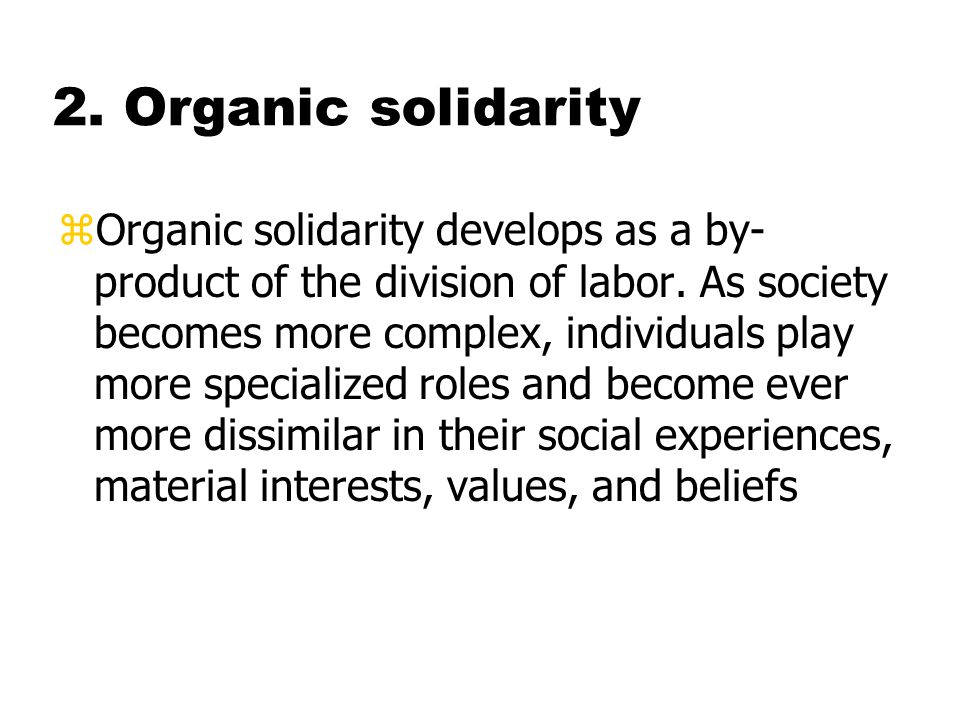 solidarity in sociology
