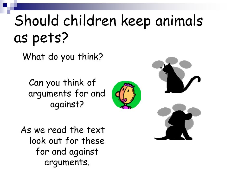 Should children keep animals as pets