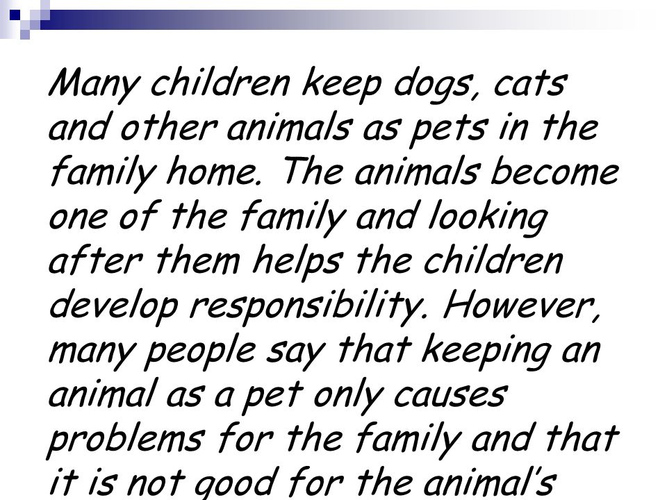 Many children keep dogs, cats and other animals as pets in the family home.